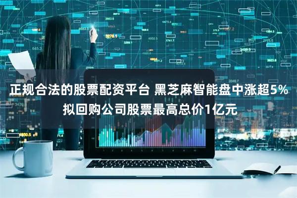 正规合法的股票配资平台 黑芝麻智能盘中涨超5% 拟回购公司股票最高总价1亿元