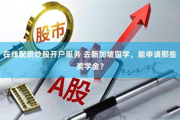 在线配资炒股开户服务 去新加坡留学，能申请那些奖学金？