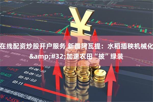 在线配资炒股开户服务 新疆阿瓦提：水稻插秧机械化&#32;加速农田“披”绿装