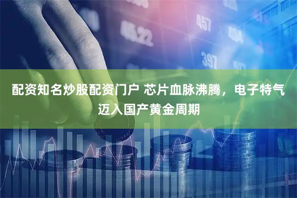 配资知名炒股配资门户 芯片血脉沸腾，电子特气迈入国产黄金周期